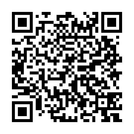 QR code for NM9738