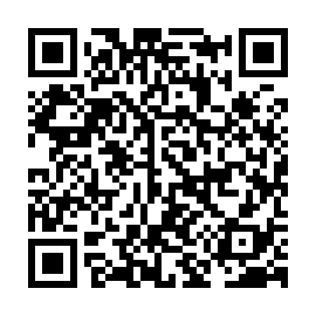 QR code for NM9938