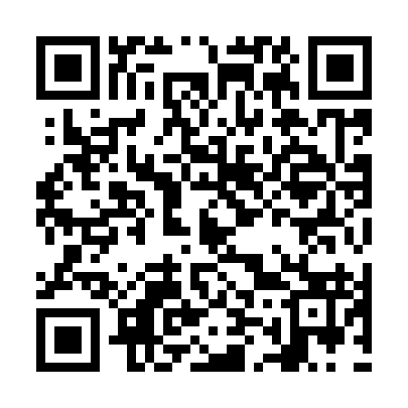 QR code for NM9993