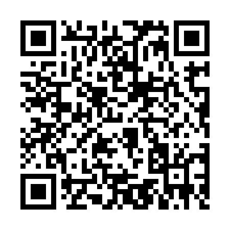QR code for NO595