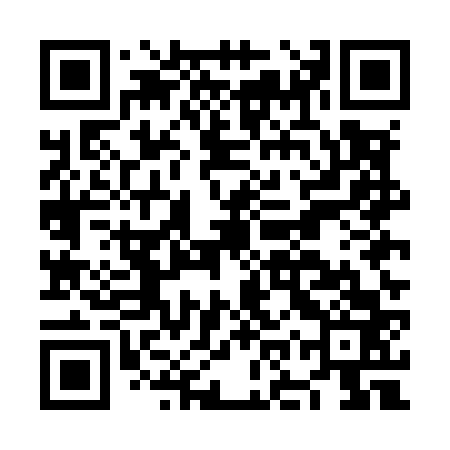 QR code for NOUM63