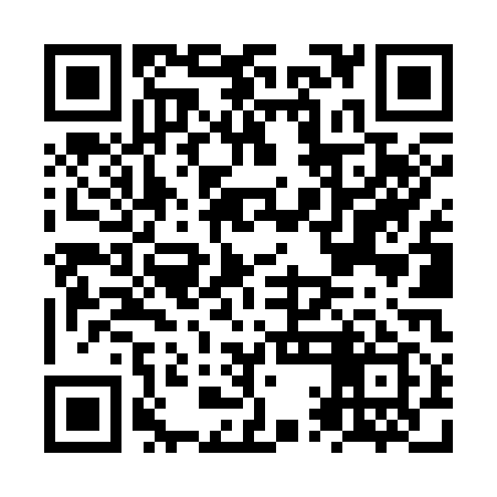 QR code for NQNS19