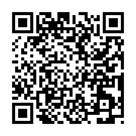 QR code for NR393