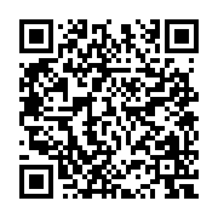 QR code for NS339