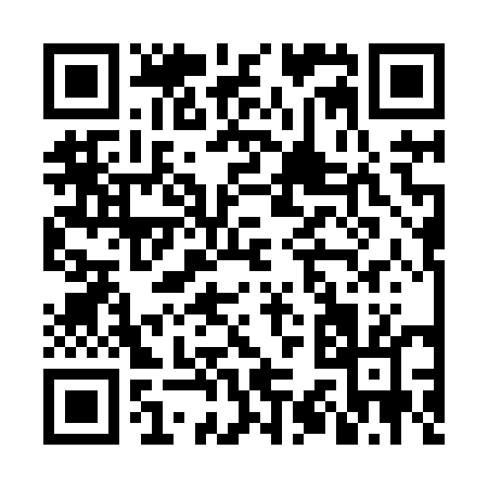 QR code for NS385