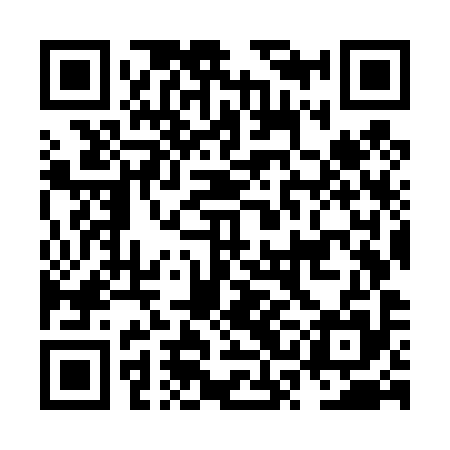 QR code for NSOT95