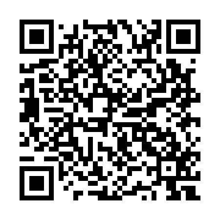QR code for NSQA17