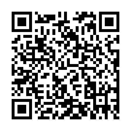 QR code for NY251