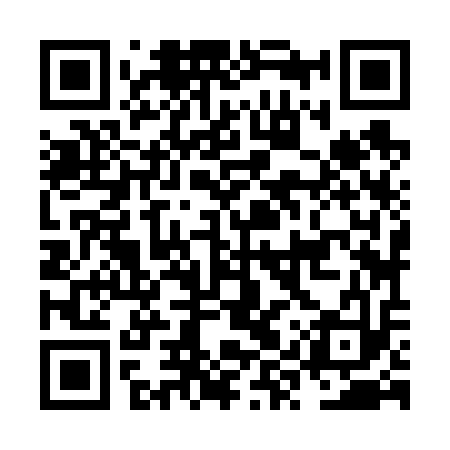 QR code for NYZ613