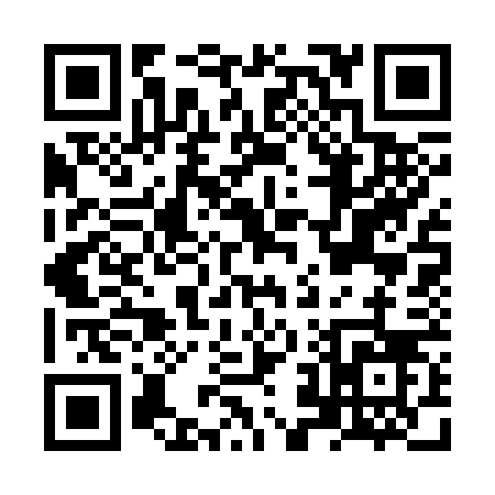 QR code for NZ336