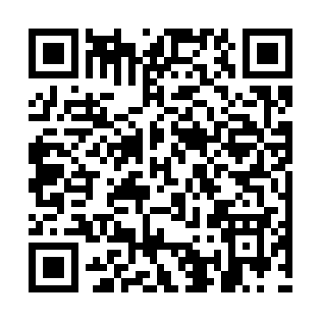 QR code for OA333