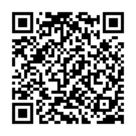QR code for PAC919