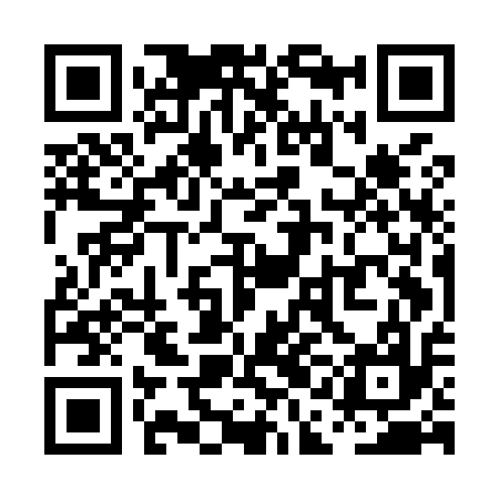 QR code for PAEM17