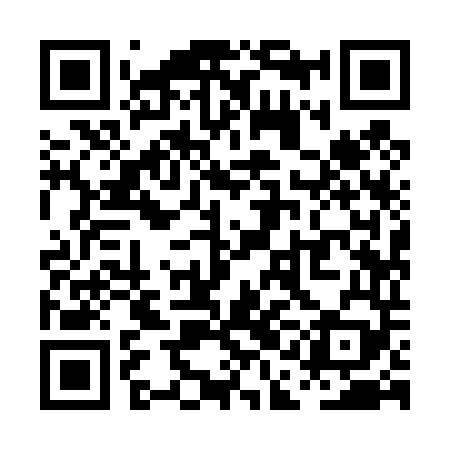 QR code for PAI449