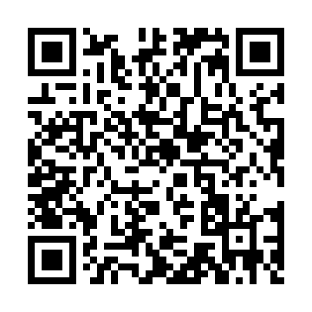 QR code for PG954