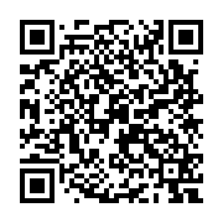 QR code for PGK161