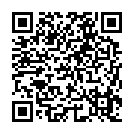 QR code for PI233