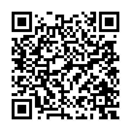QR code for PI300