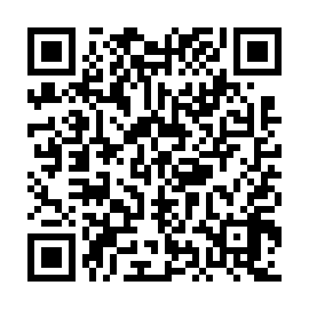 QR code for PIAV18