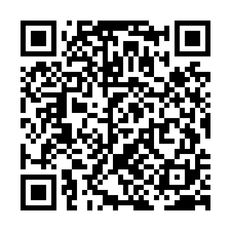 QR code for PION51