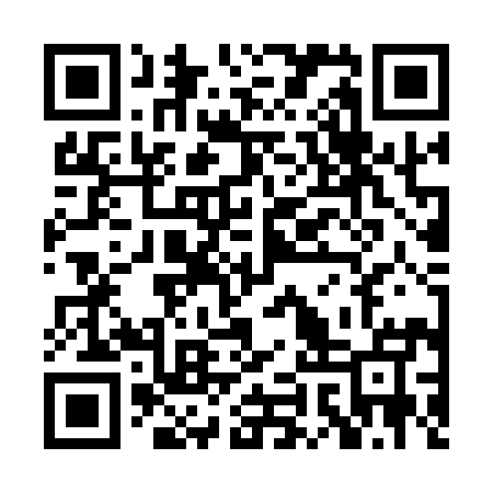 QR code for PISQ95