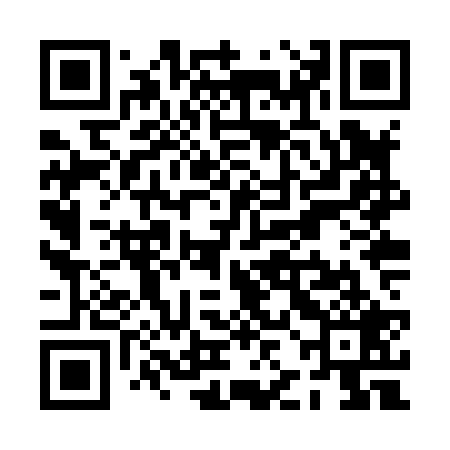 QR code for PJJX29