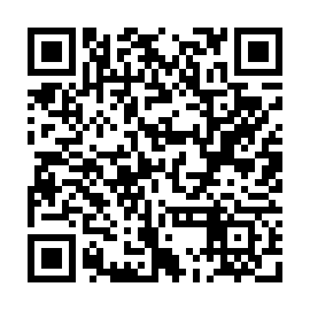 QR code for PMI463