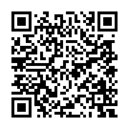 QR code for PP101