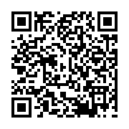 QR code for PP397