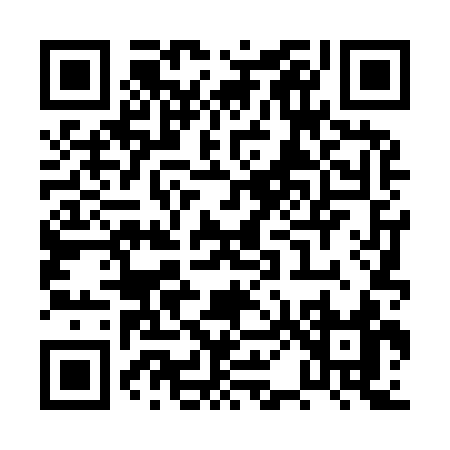 QR code for PP493