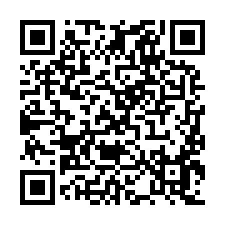 QR code for PP699