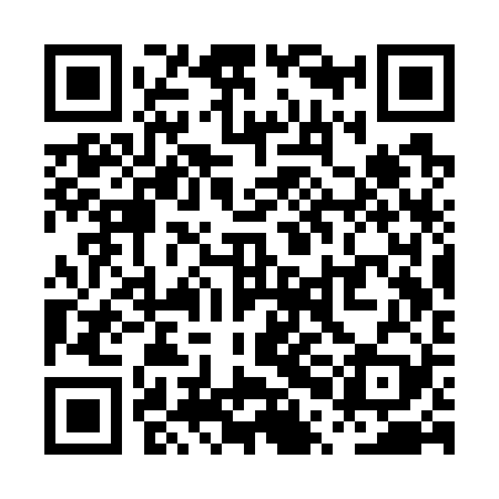 QR code for PPCW29