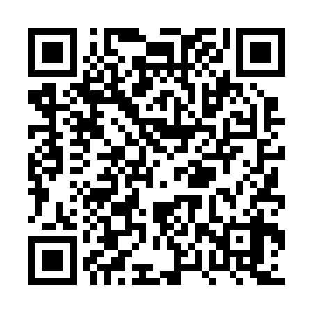 QR code for PPT238