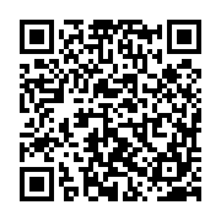 QR code for PPZ554