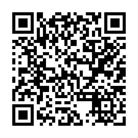 QR code for PUF387