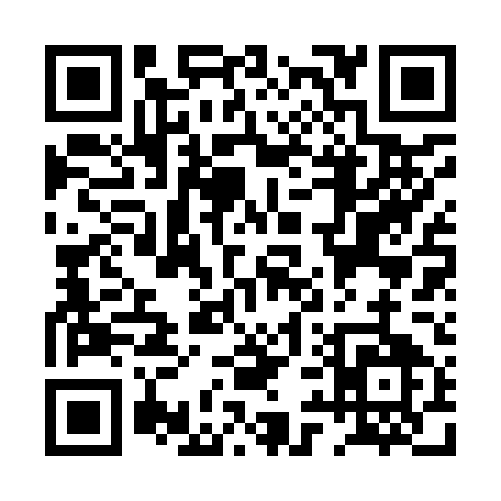QR code for PY295