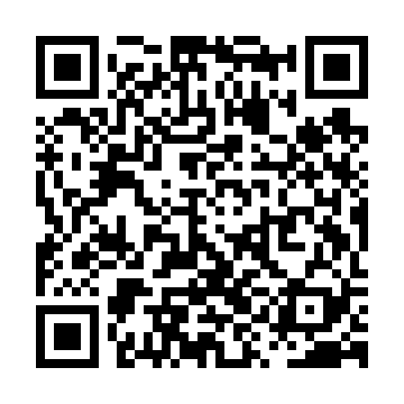 QR code for PYIF29