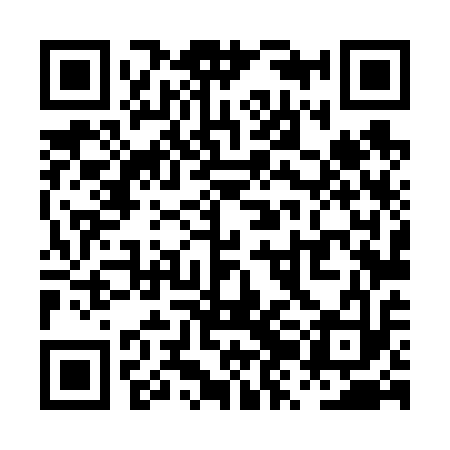 QR code for PZL613