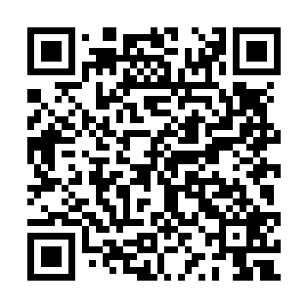 QR code for PZLN29