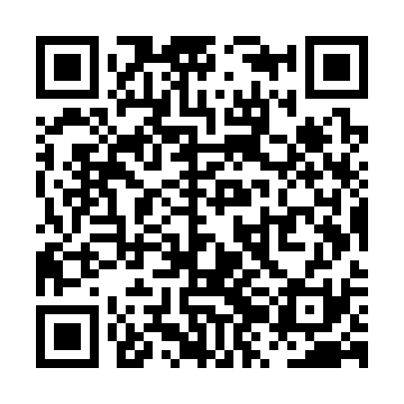 QR code for PZMS31