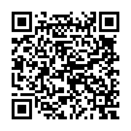 QR code for PZPL96