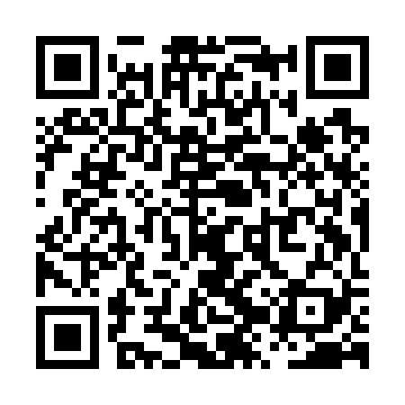 QR code for PZYG29