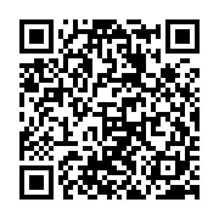 QR code for QGSI51