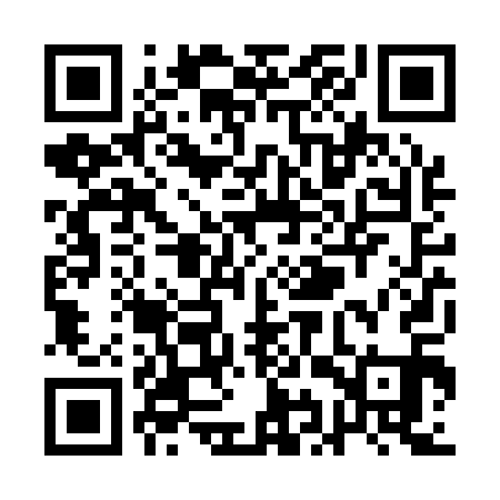 QR code for QIRQ11
