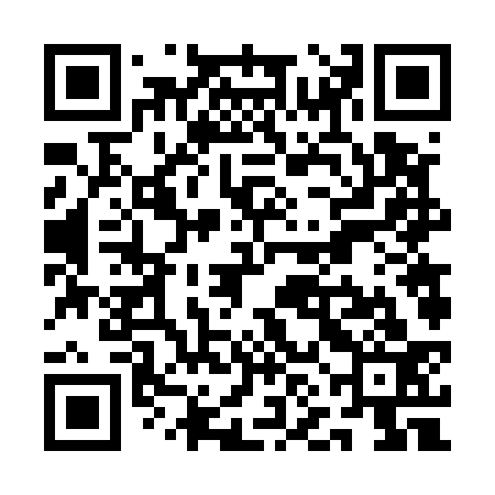 QR code for QNF533