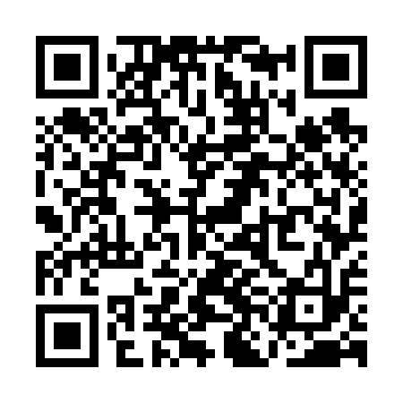 QR code for QNG613