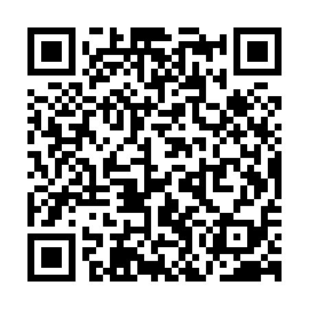 QR code for QOEX19