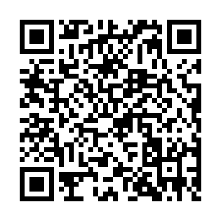 QR code for QP441