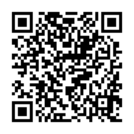QR code for QPD294