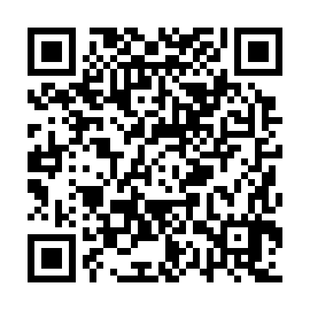 QR code for QQP387